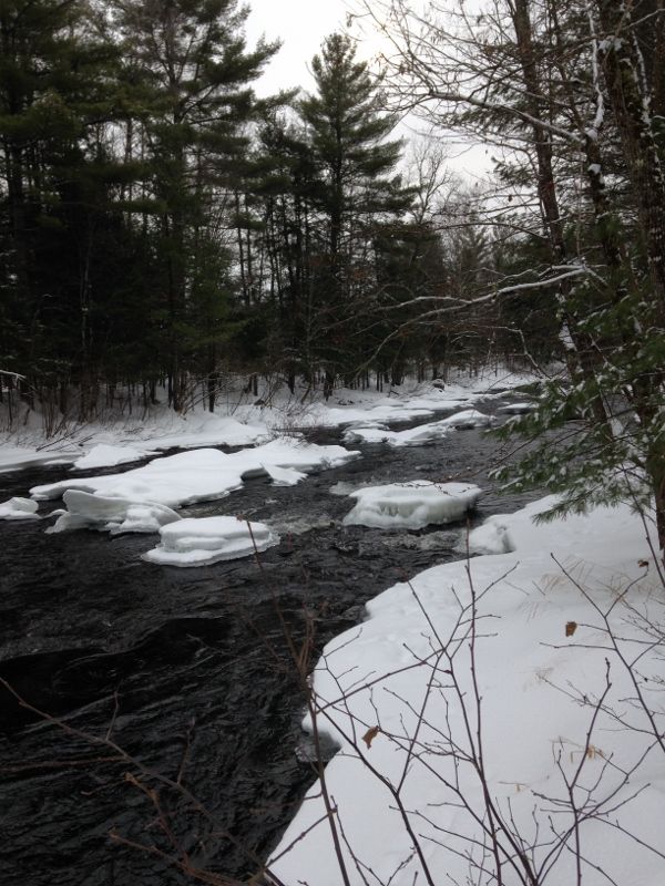 NEW PRICE! Charming Cabin Knotty Pine Interior Frontage Across